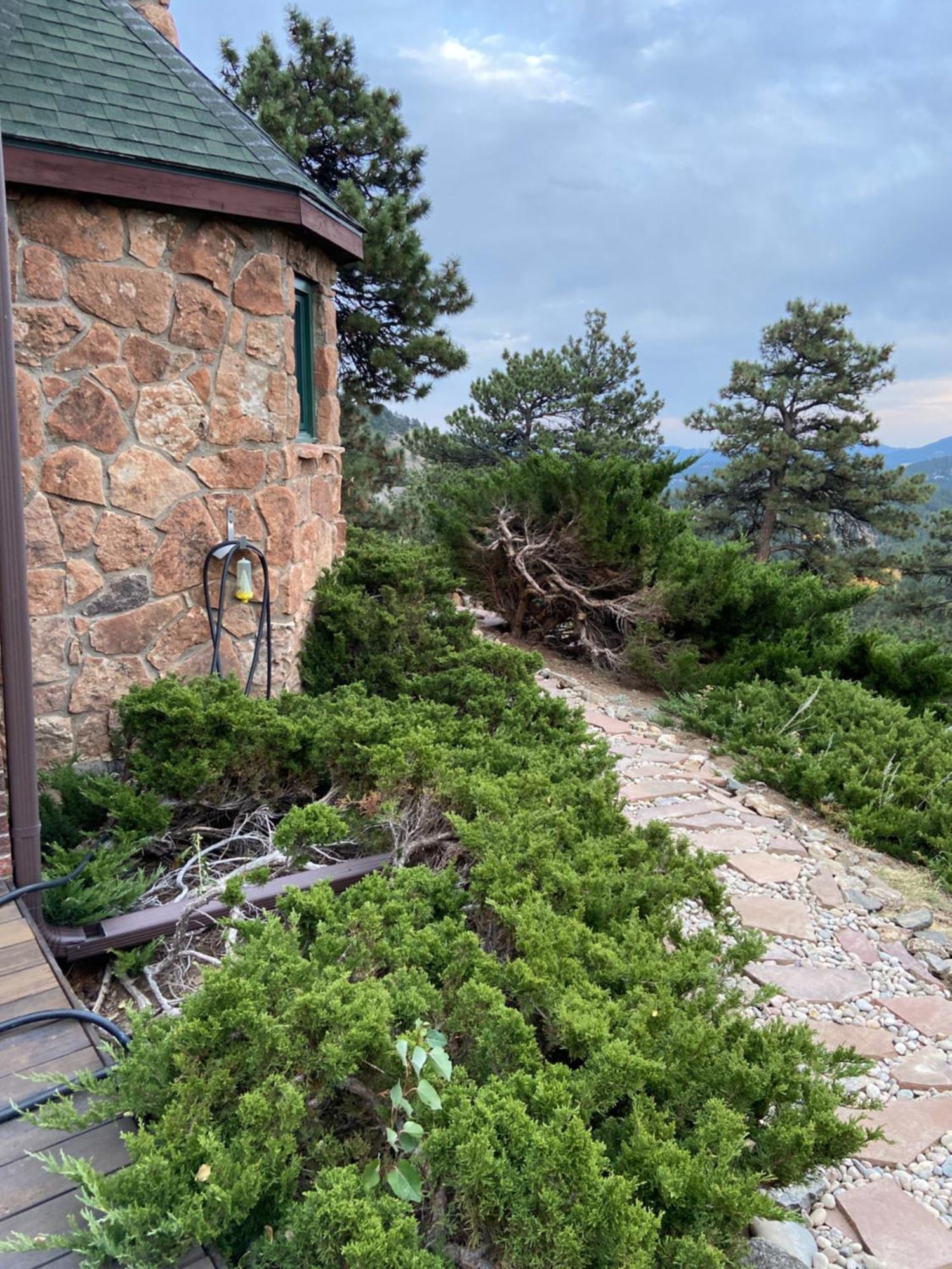 Colorado Bed & Breakfast With Beautiful Views Evergreen Bagian luar foto